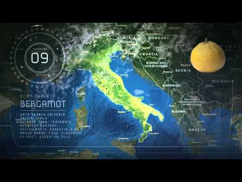 Meet MOA | Nutrifii
